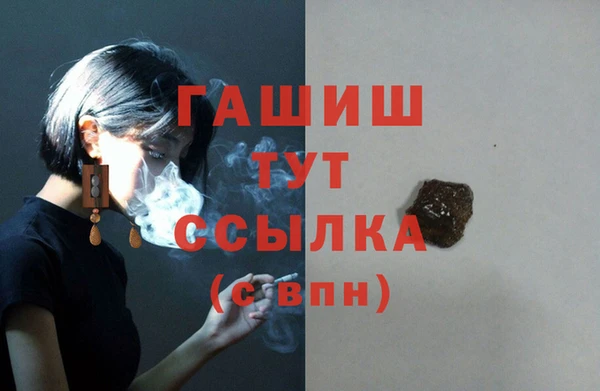 тгк Абаза