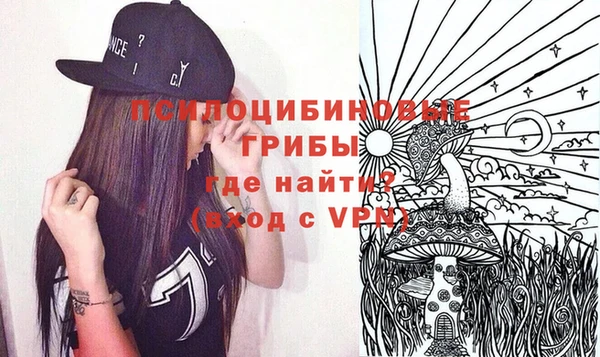 тгк Абаза
