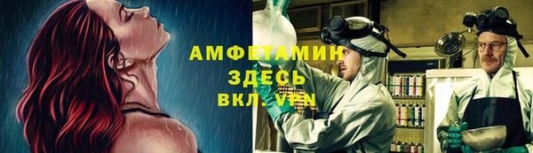 тгк Абаза