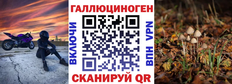 Псилоцибиновые грибы прущие грибы  Белая Калитва 