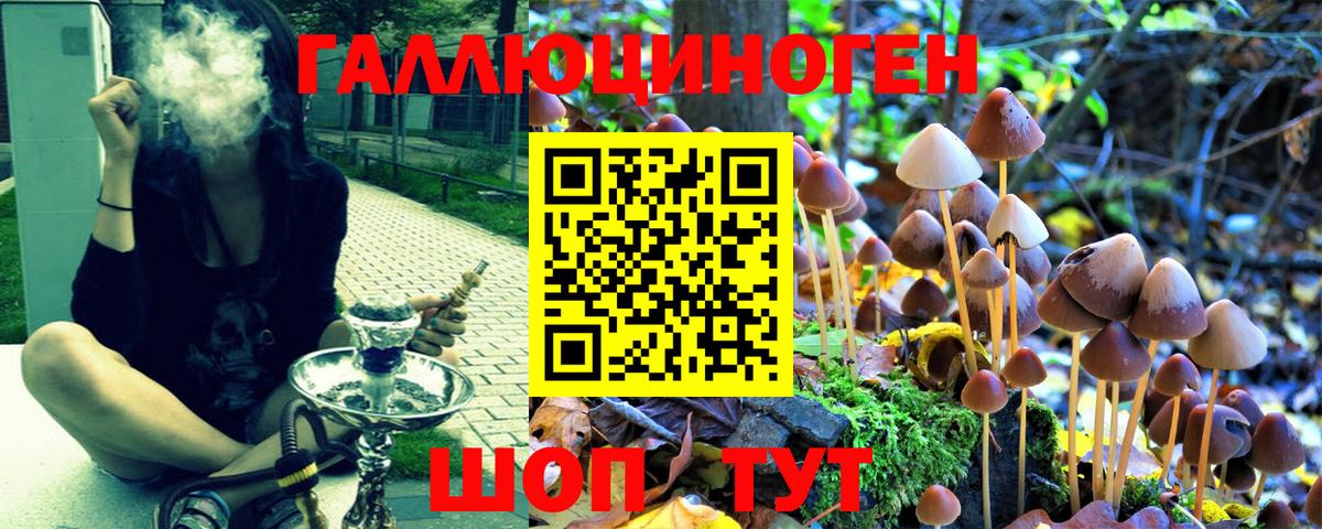 Псилоцибиновые грибы MAGIC MUSHROOMS Белая Калитва
