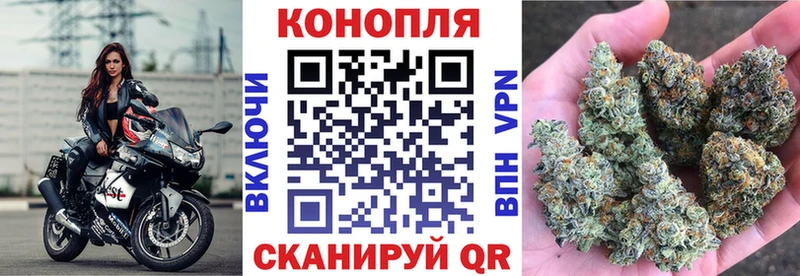 Бошки марихуана SATIVA & INDICA  Белая Калитва 